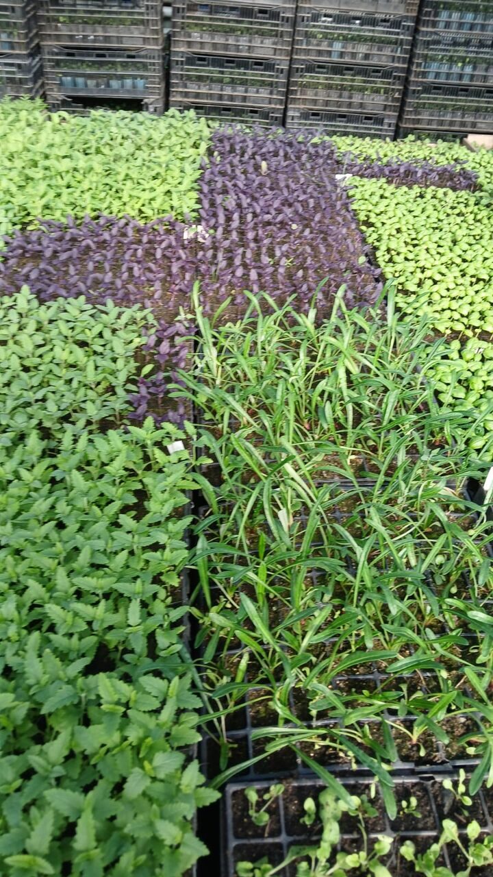 Изображение WhatsApp 2025-03-28 в 10.28.10_ef8a9ef3